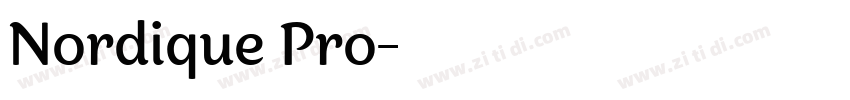Nordique Pro字体转换